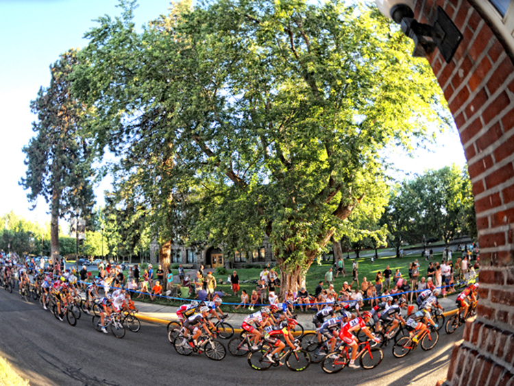 Photo by Brian Hodes