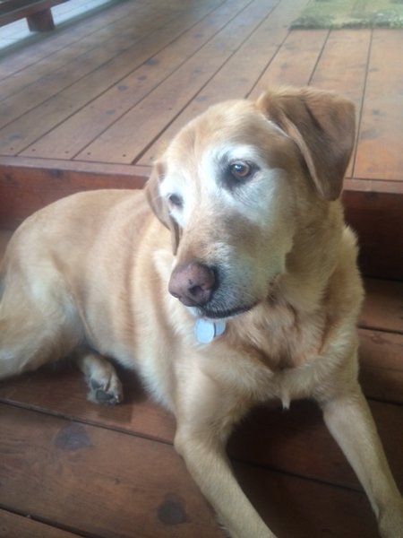 news_news_features_1