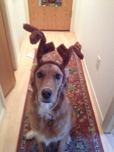 Screen_Shot_2014-07-30_at_9.51.35_AM